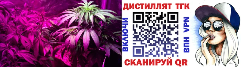 ТГК вейп с тгк  мориарти какой сайт  Енисейск  купить наркоту 